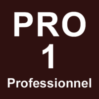 Module Professionnel 1